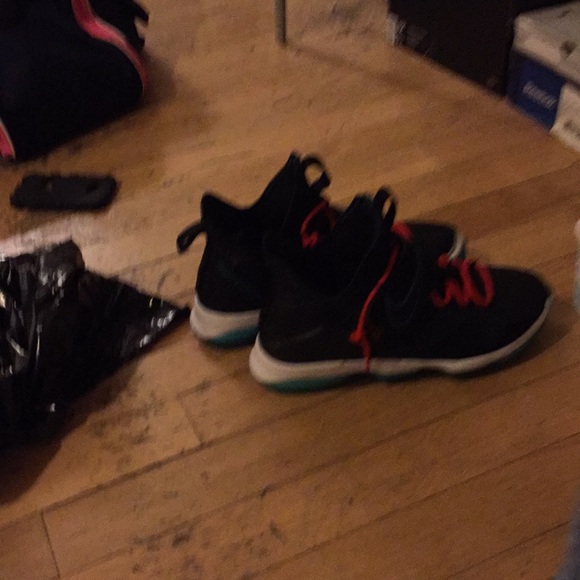 Lebrons - Picture 2 of 2